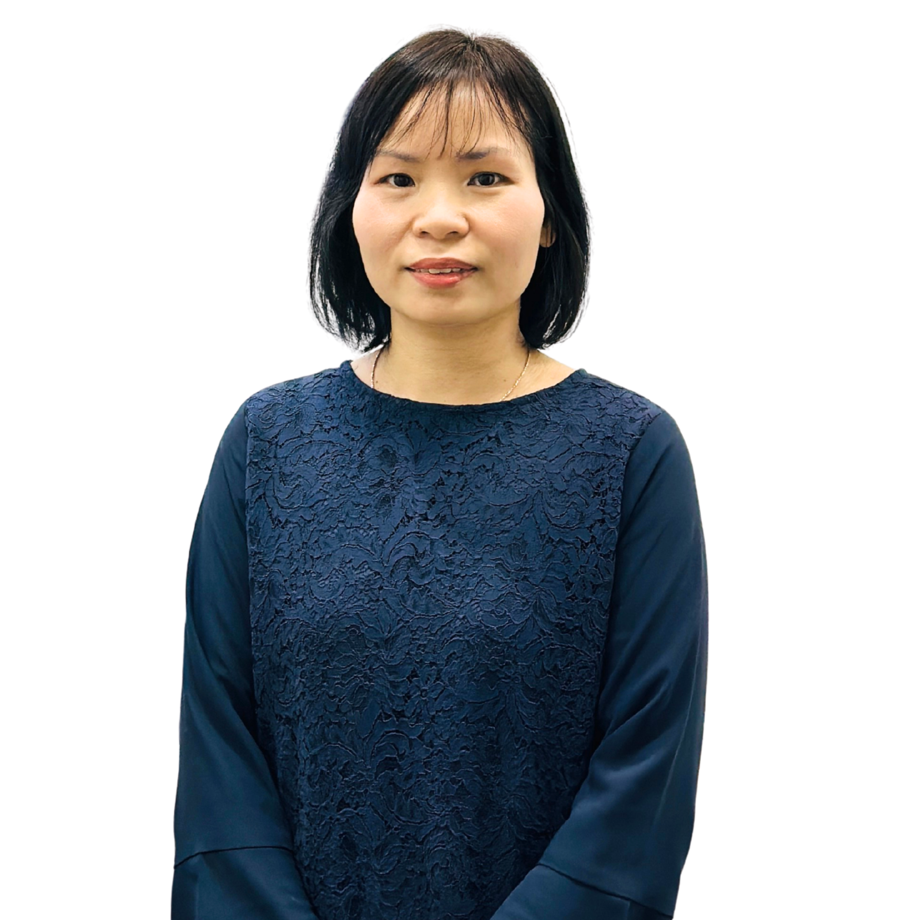 Senior BrSE - Team Leader